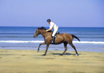 horse-riding-on-a-beach-in-donegal-small